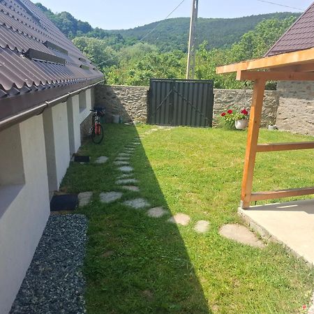 Casa Noua Villa Sasca Montana Bagian luar foto