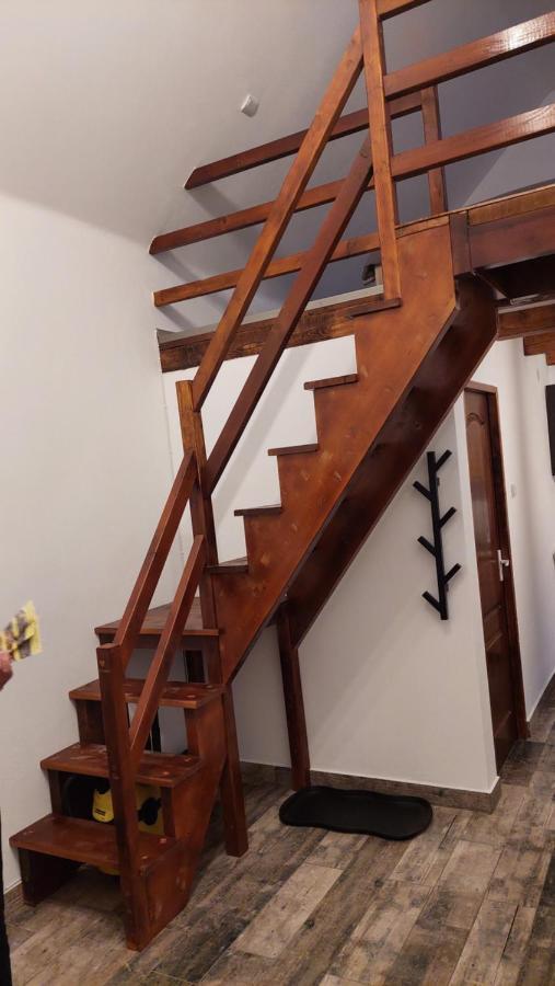 Casa Noua Villa Sasca Montana Bagian luar foto