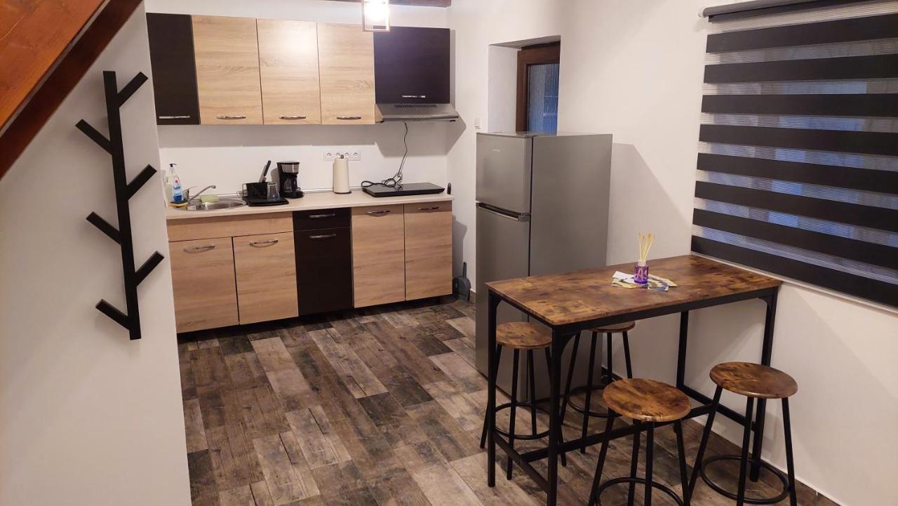 Casa Noua Villa Sasca Montana Bagian luar foto