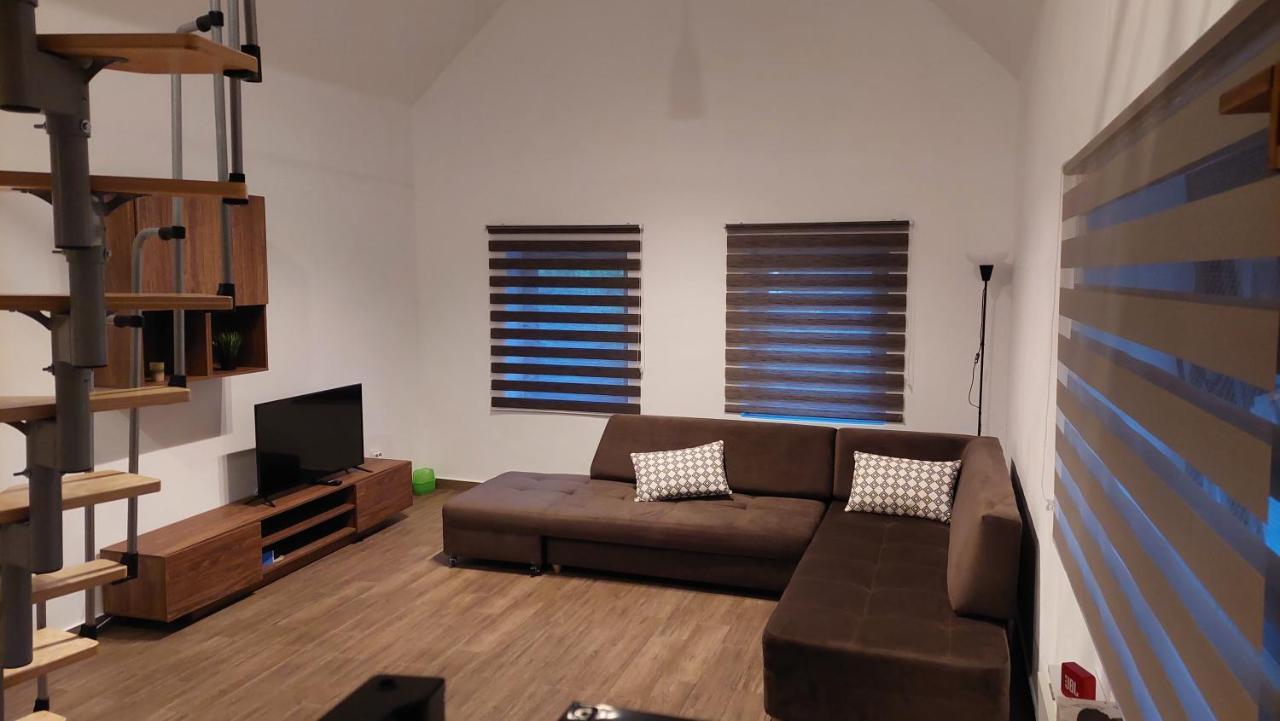 Casa Noua Villa Sasca Montana Bagian luar foto