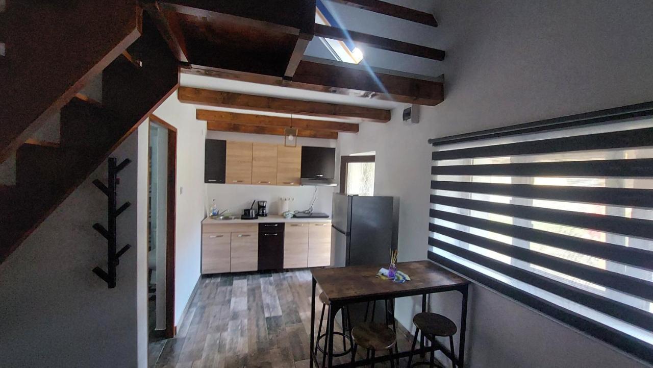 Casa Noua Villa Sasca Montana Bagian luar foto