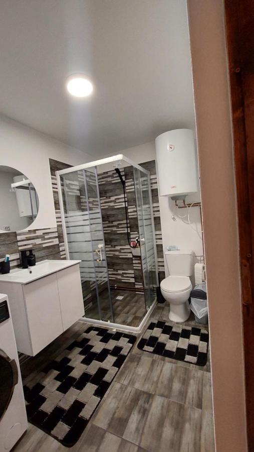 Casa Noua Villa Sasca Montana Bagian luar foto