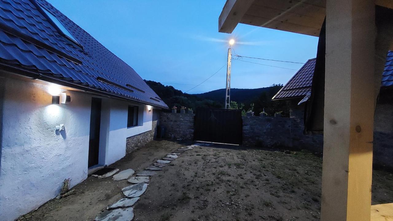 Casa Noua Villa Sasca Montana Bagian luar foto