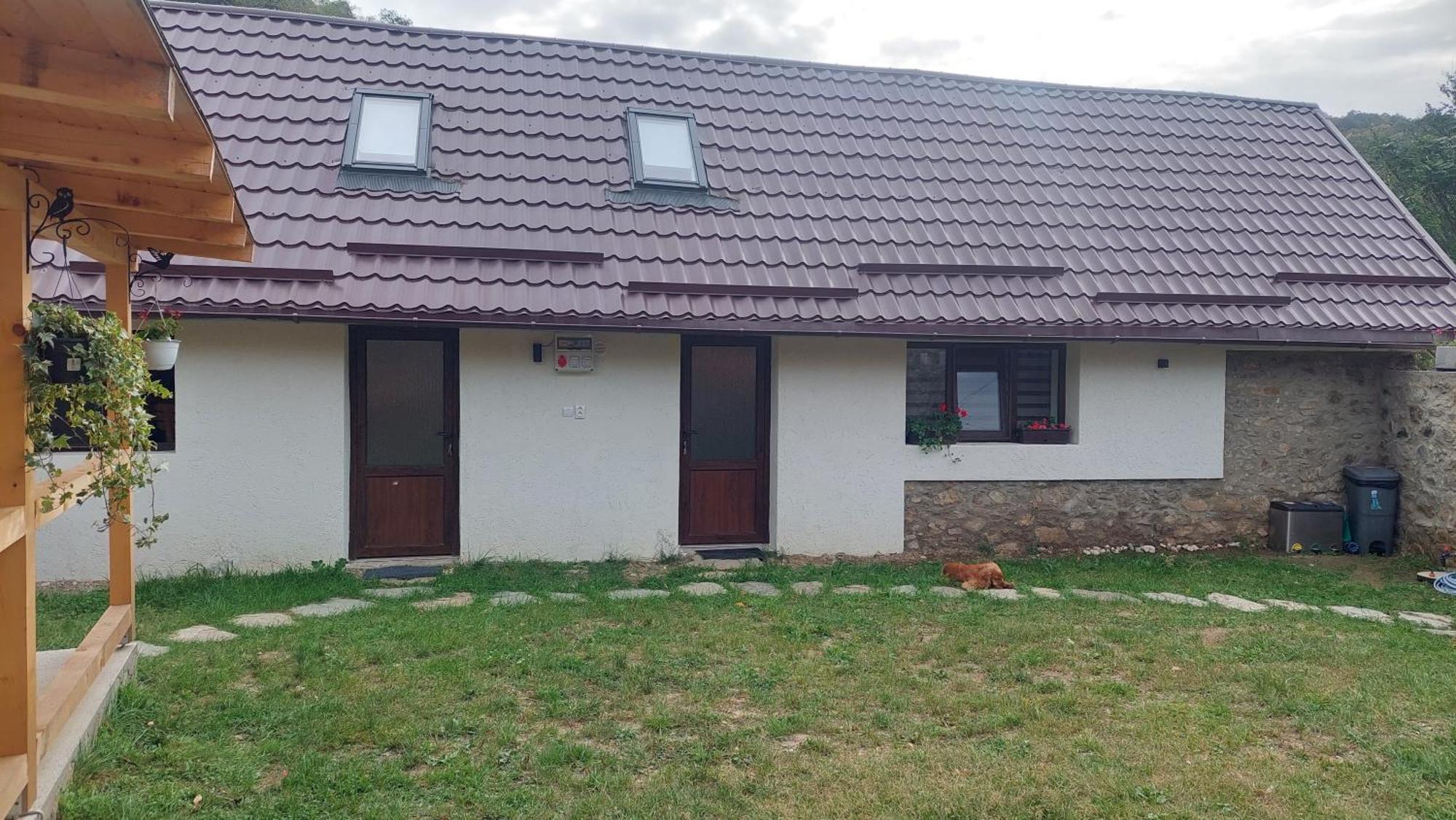 Casa Noua Villa Sasca Montana Bagian luar foto