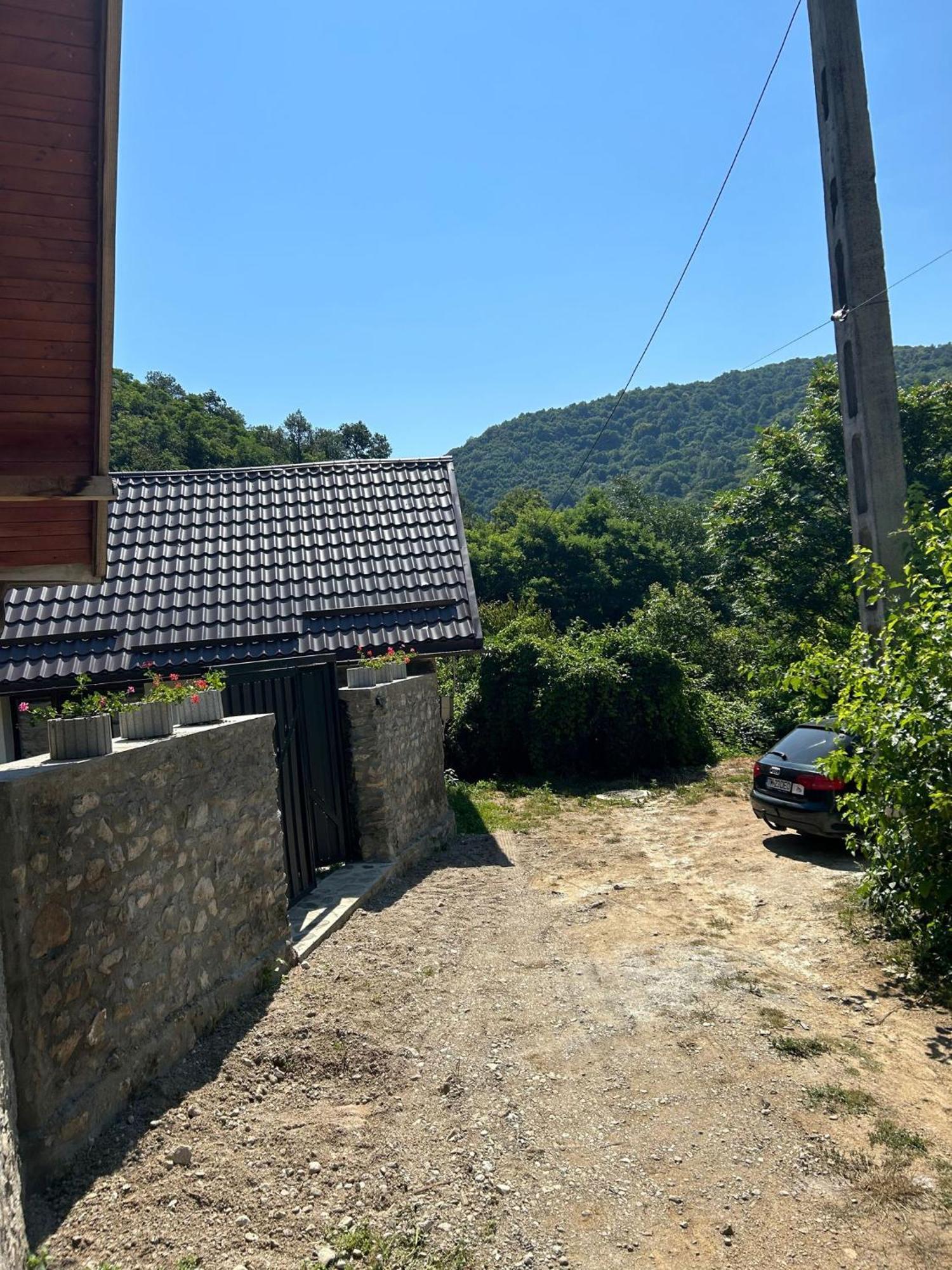 Casa Noua Villa Sasca Montana Bagian luar foto