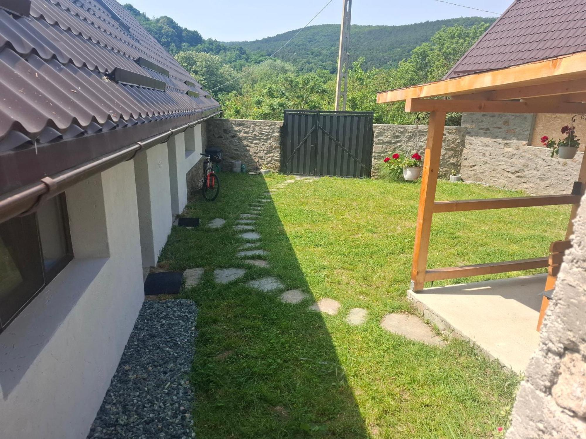 Casa Noua Villa Sasca Montana Bagian luar foto
