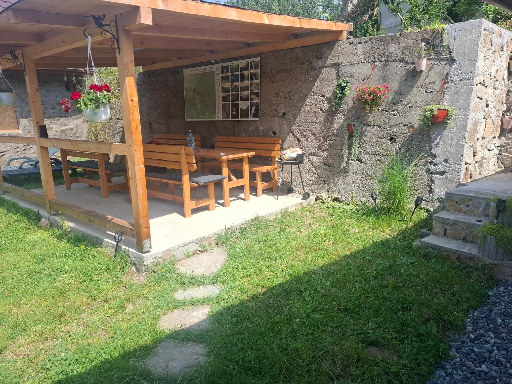 Casa Noua Villa Sasca Montana Bagian luar foto