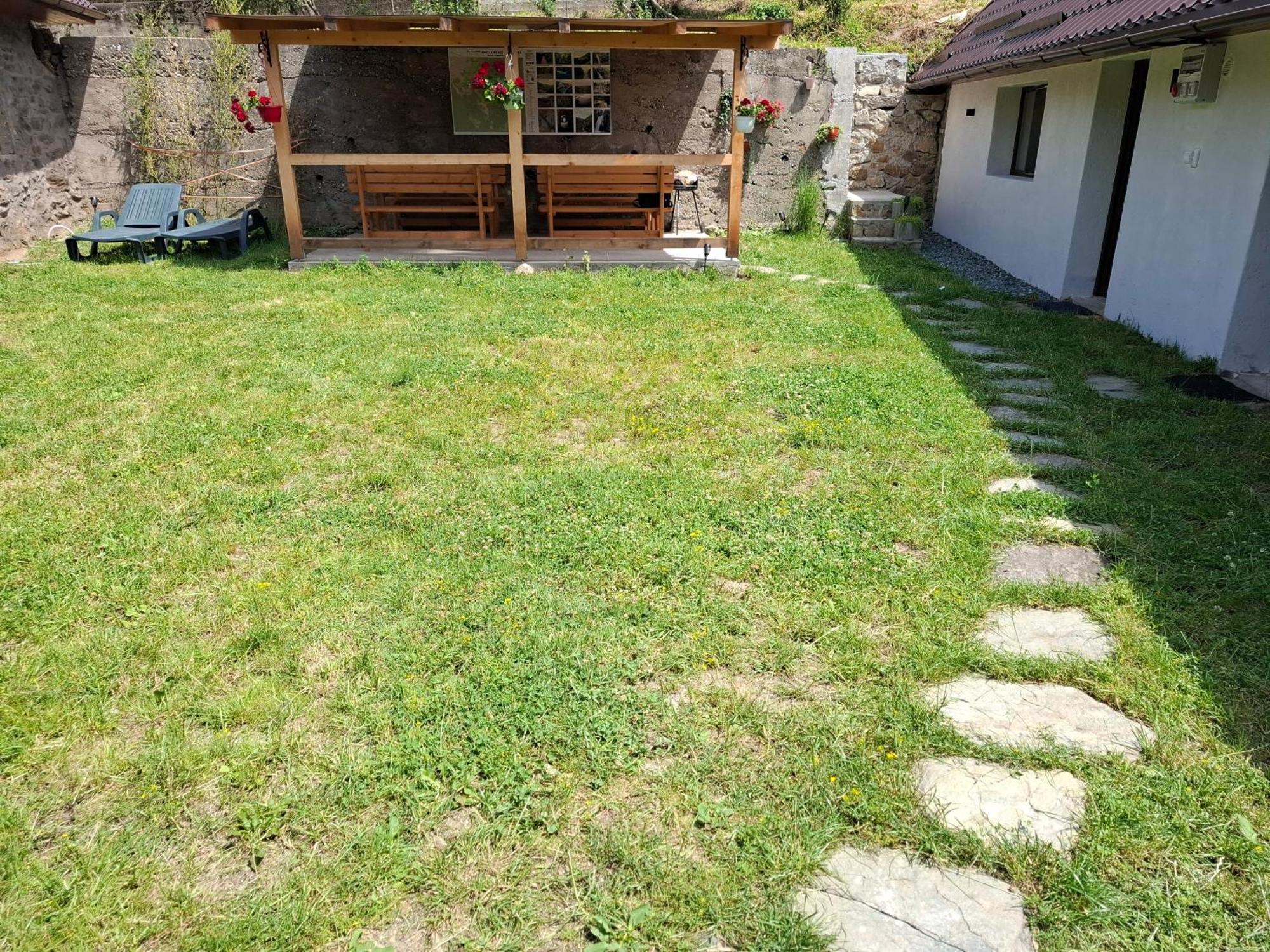 Casa Noua Villa Sasca Montana Bagian luar foto