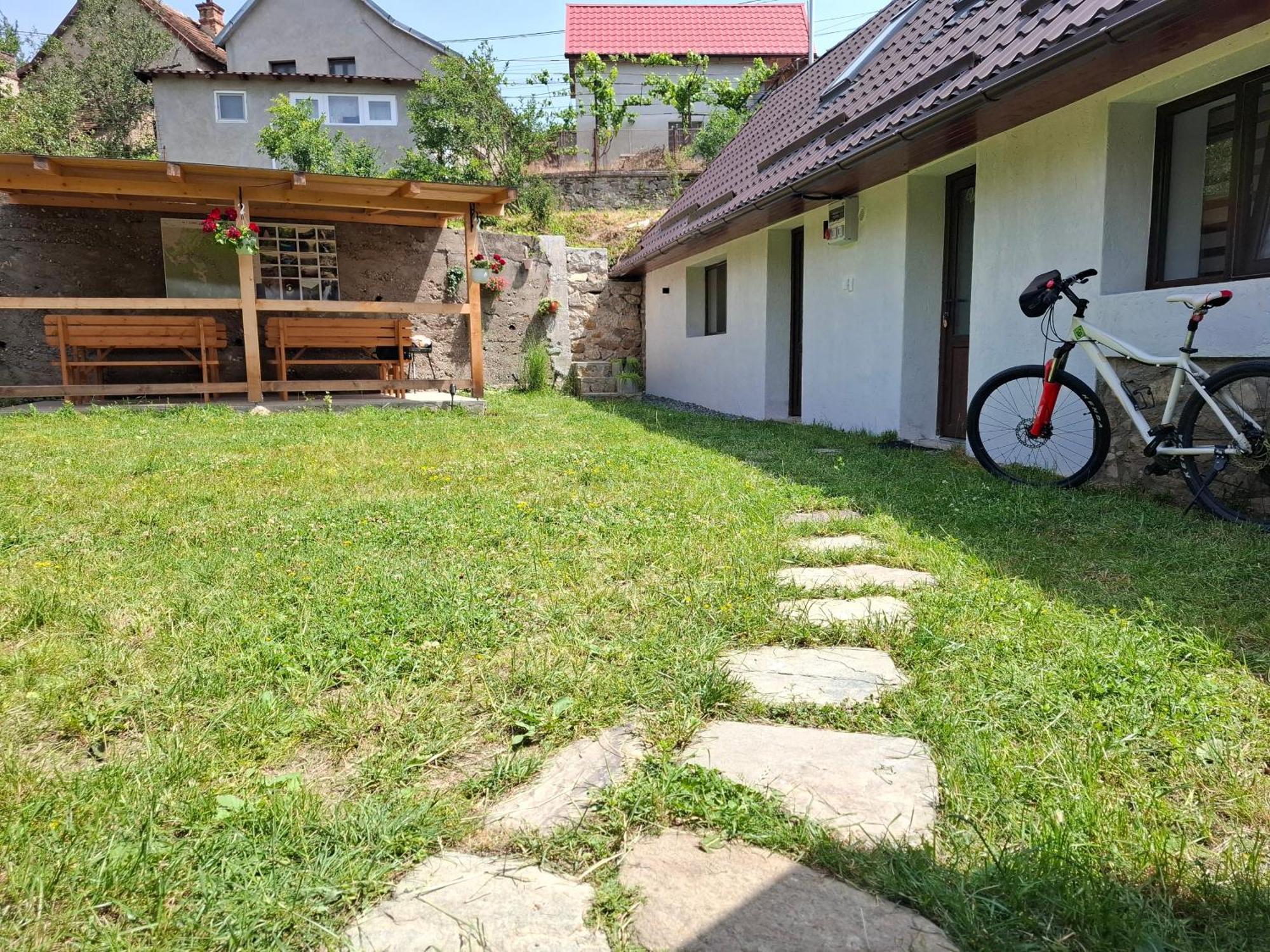 Casa Noua Villa Sasca Montana Bagian luar foto