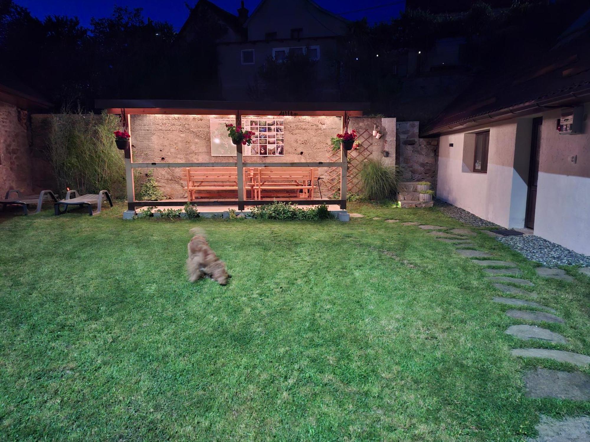 Casa Noua Villa Sasca Montana Bagian luar foto
