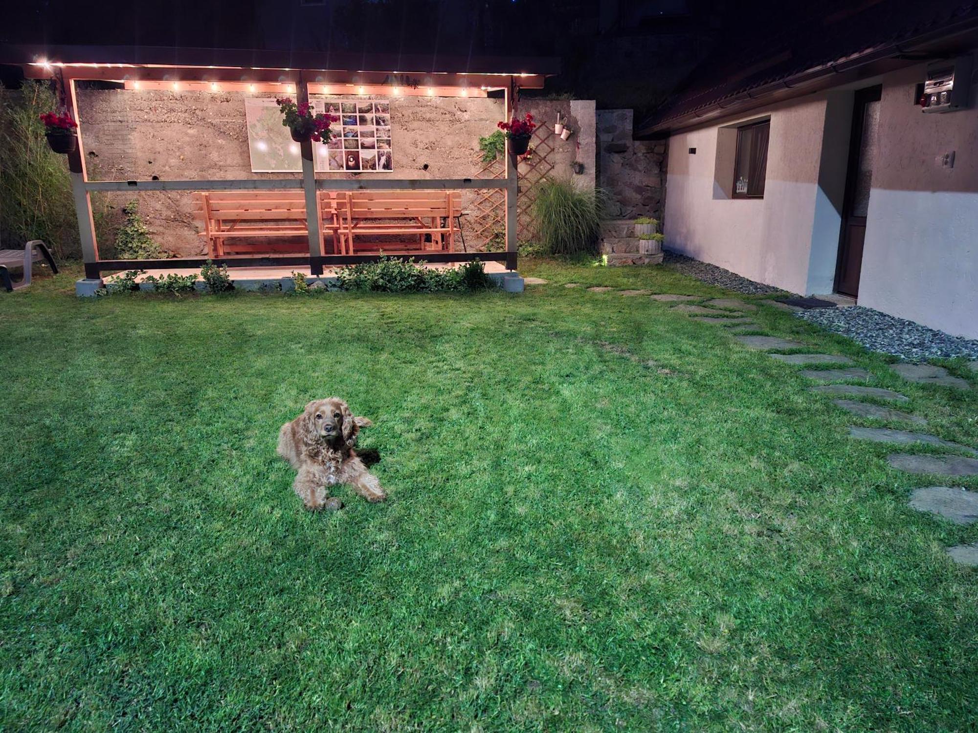 Casa Noua Villa Sasca Montana Bagian luar foto